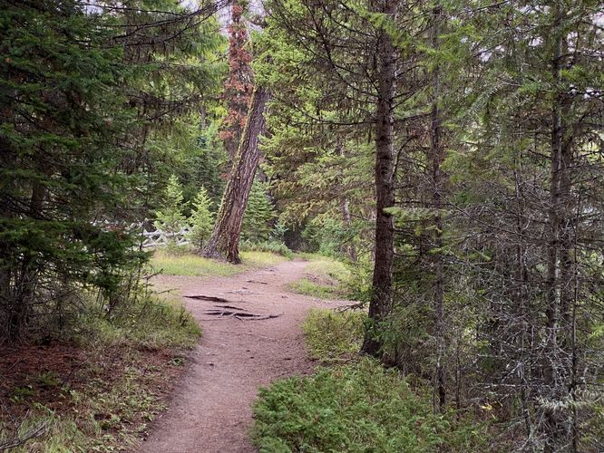 Hiking the Bowman Lake Trail