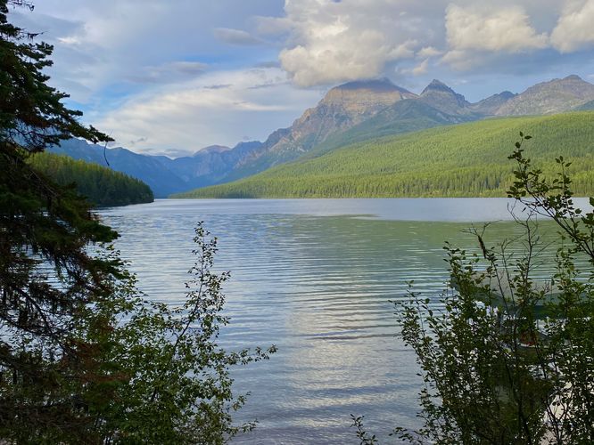View of Bowman Lake from the trail