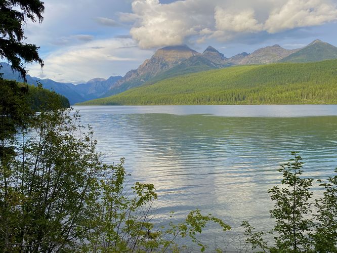 Bowman Lake View from the trail