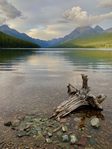Portrait view of colorful stones at Bowman Lake