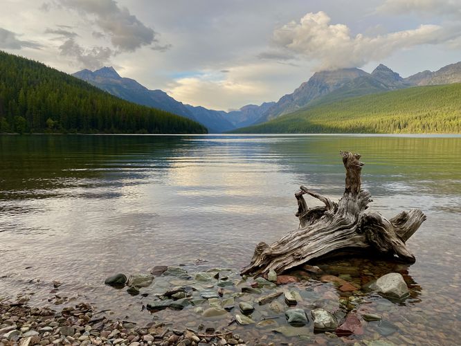 Default image for Bowman Lake Hike, a 1.2-mile trail in Flathead County, MT (US)