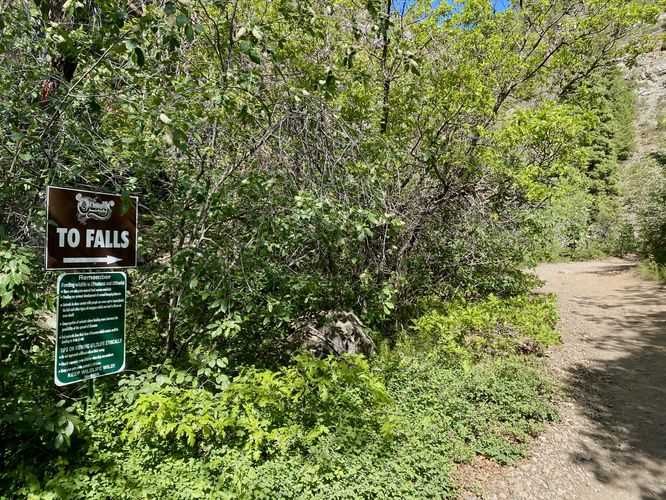 Dirt trail leads to Box Canyon Falls