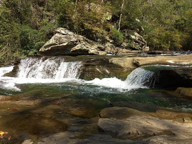 Boy Scout Trail - Boy Scout Trail Turkey Creek Nature Preserve album