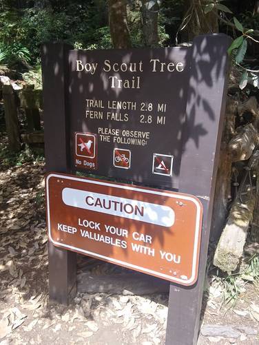 Picture 8 of Boy Scout Tree Trail