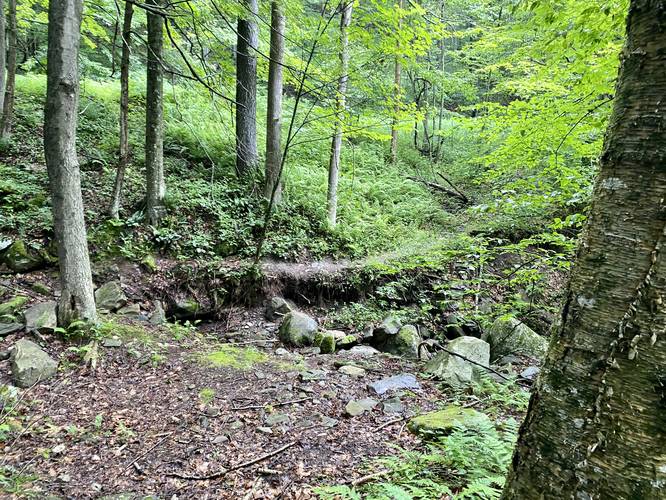 Skinny rugged trail to Bradford Falls