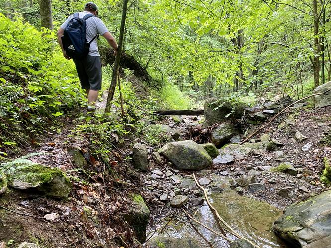 Skinny rugged trail to Bradford Falls