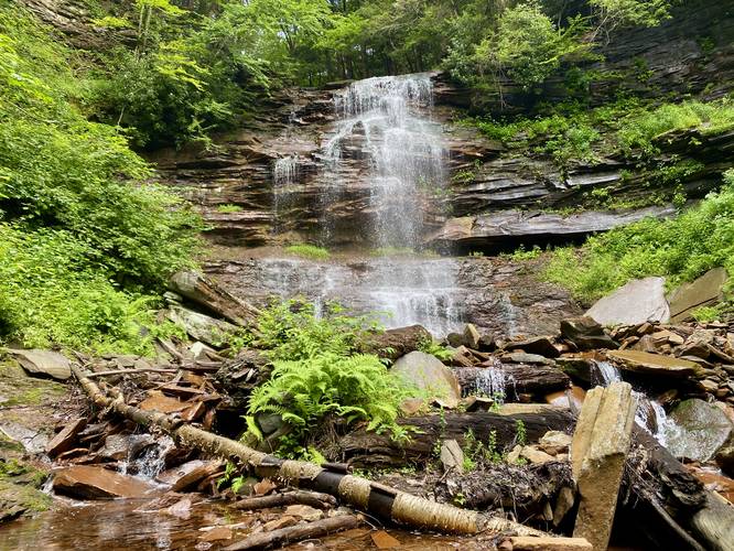 Bradford Falls, approx. 70-feet tall