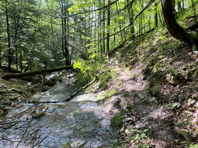 Skinny trail runs along Falls Creek