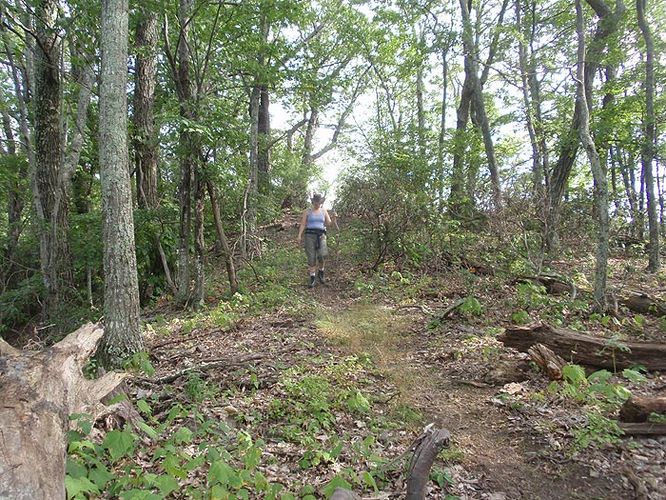 Picture 8 of Brandywine Recreation Area Hike 090509