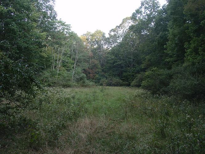 Picture 23 of Brandywine Recreation Area Hike 090509