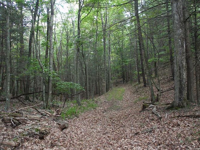 Picture 22 of Brandywine Recreation Area Hike 090509