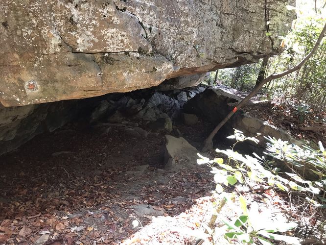 Picture 7 of Breaks Interstate Park Hike 102021