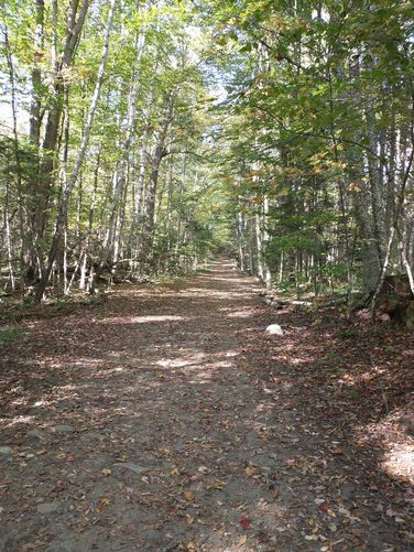 Trail substrate 