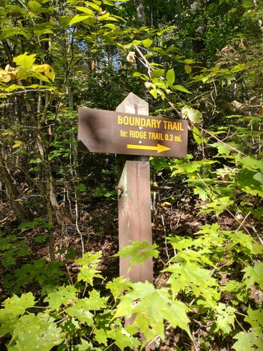 Engraved Sign marks the trail