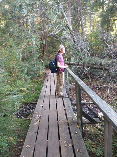 Boardwalk to assist hikers over wet areas