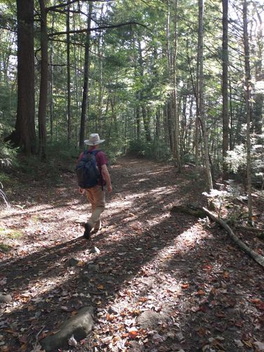 Trail heads back towards the parking area 