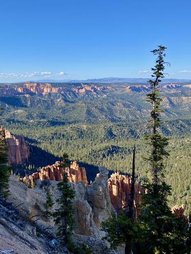 View of Bryce Canyon from the Bristlecone Loop Trail