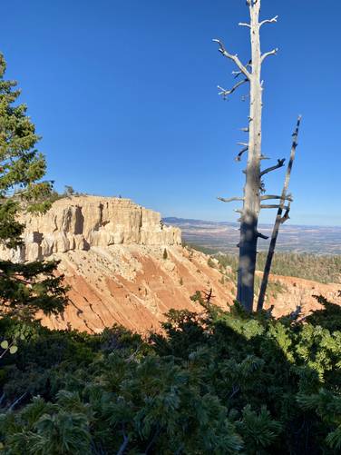 View into Bryce Canyon from the Bristlecone Loop Trail