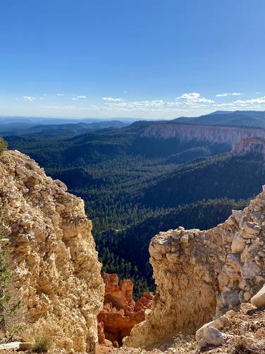 View into Bryce Canyon from the Bristlecone Loop Trail