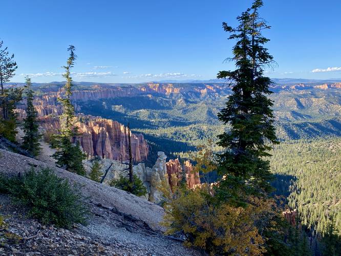 View into Bryce Canyon from the Bristlecone Loop Trail