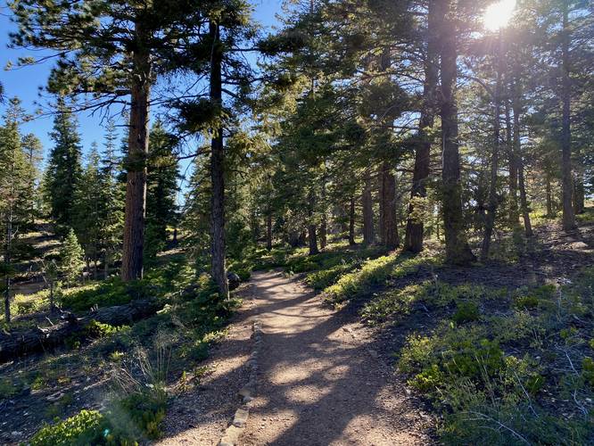 Hiking the Bristlecone Loop Trail at Bryce Canyon National Park