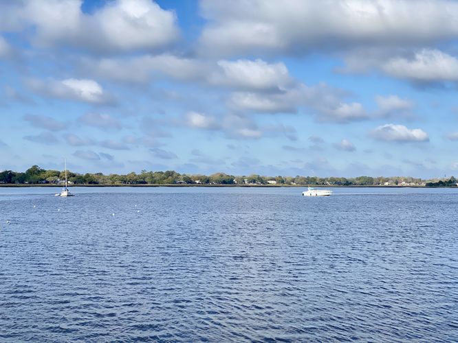 Boats floating in the Ashley River