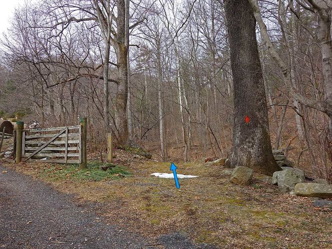 Picture 2 of Broad Hollow Hike 022016