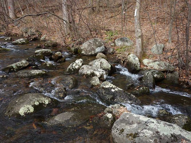 Picture 3 of Broad Hollow Hike 022016