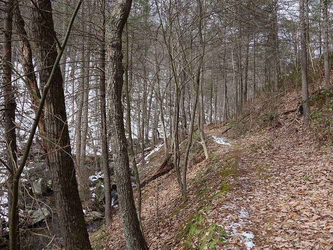 Picture 4 of Broad Hollow Hike 022016