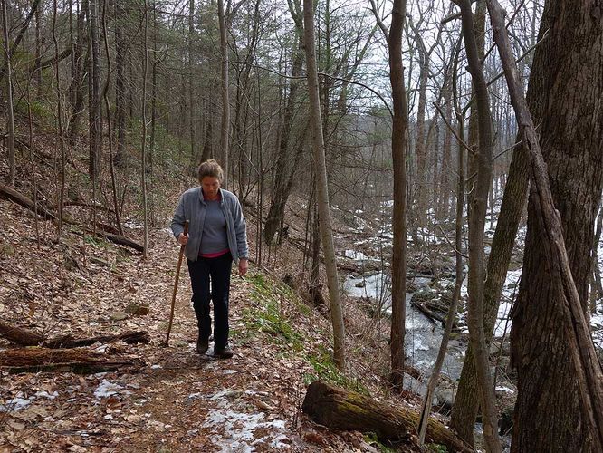 Picture 5 of Broad Hollow Hike 022016