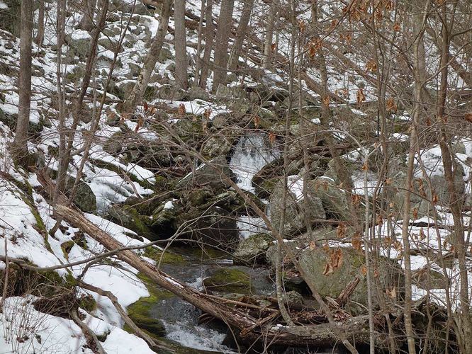 Picture 6 of Broad Hollow Hike 022016