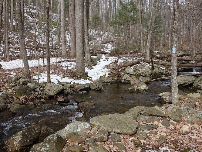 Picture 7 of Broad Hollow Hike 022016