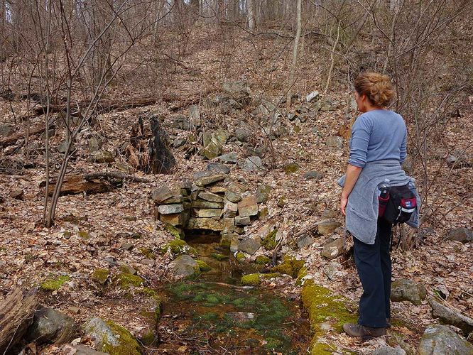 Picture 8 of Broad Hollow Hike 022016