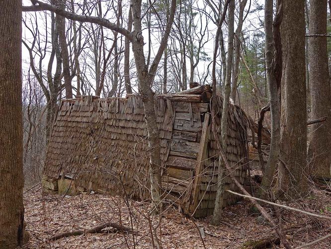 Picture 9 of Broad Hollow Hike 022016