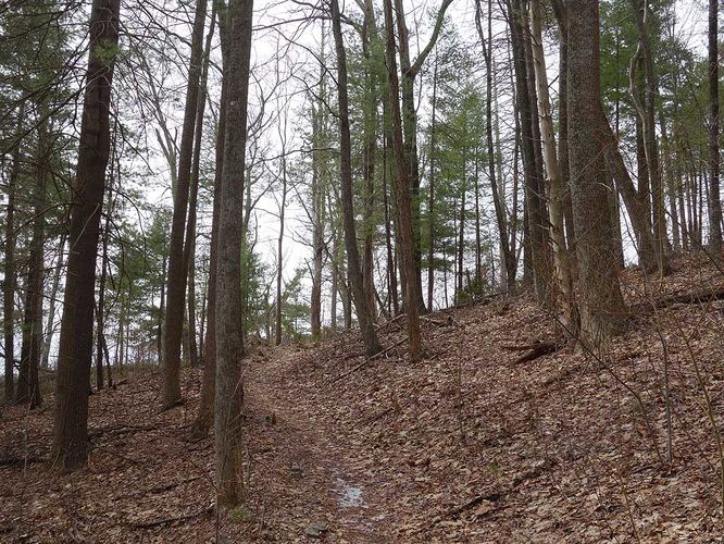Picture 10 of Broad Hollow Hike 022016
