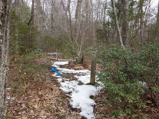 Picture 13 of Broad Hollow Hike 022016