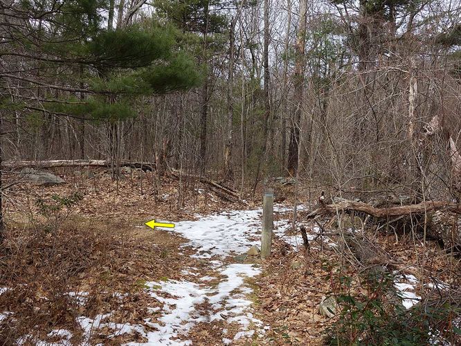 Picture 14 of Broad Hollow Hike 022016