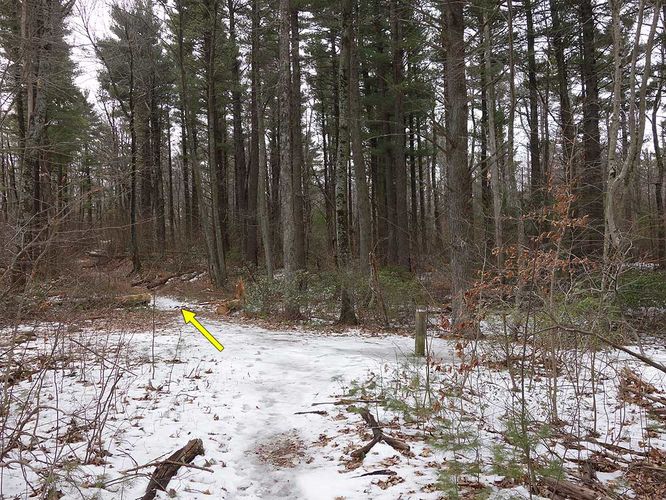 Picture 16 of Broad Hollow Hike 022016