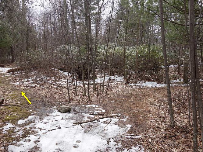 Picture 17 of Broad Hollow Hike 022016