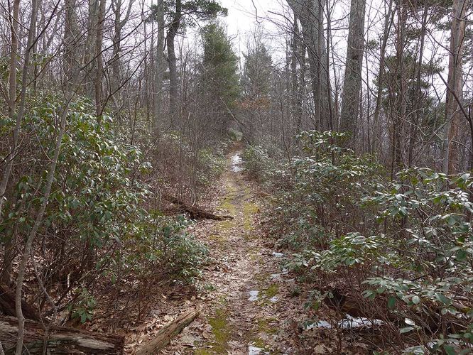 Picture 18 of Broad Hollow Hike 022016