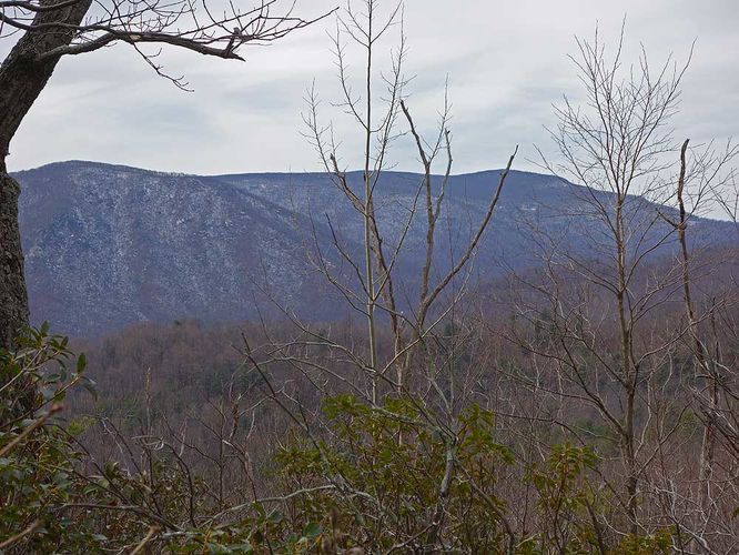 Default image for Broad Hollow Hike, a 5.9-mile trail in Sperryville, VA (US)
