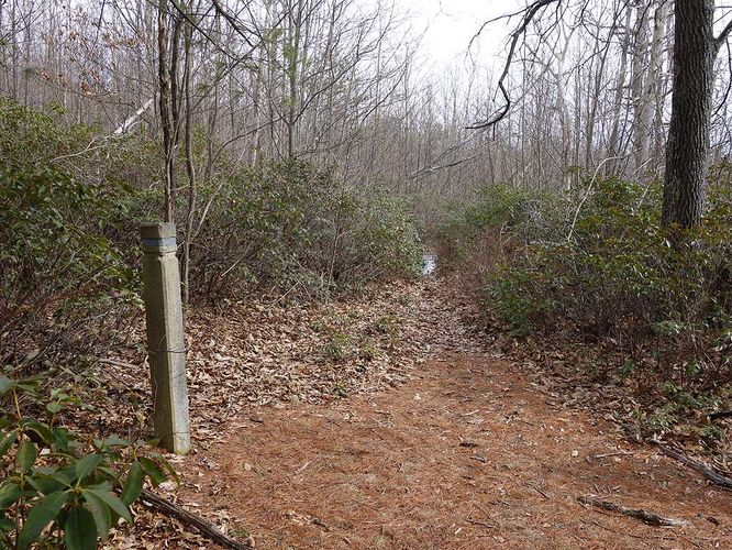 Picture 19 of Broad Hollow Hike 022016