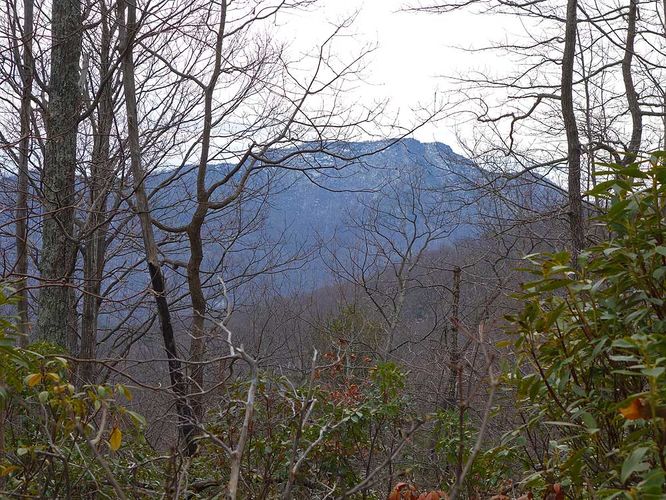Picture 20 of Broad Hollow Hike 022016