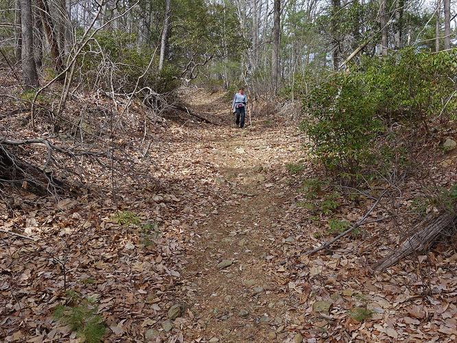 Picture 21 of Broad Hollow Hike 022016