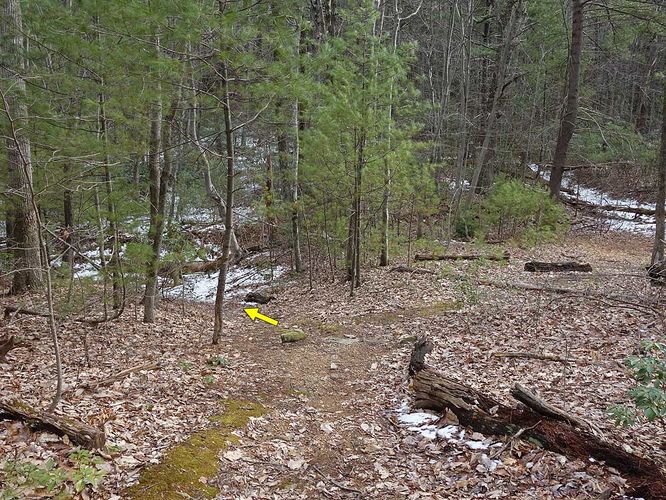 Picture 22 of Broad Hollow Hike 022016