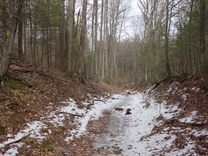 Picture 23 of Broad Hollow Hike 022016