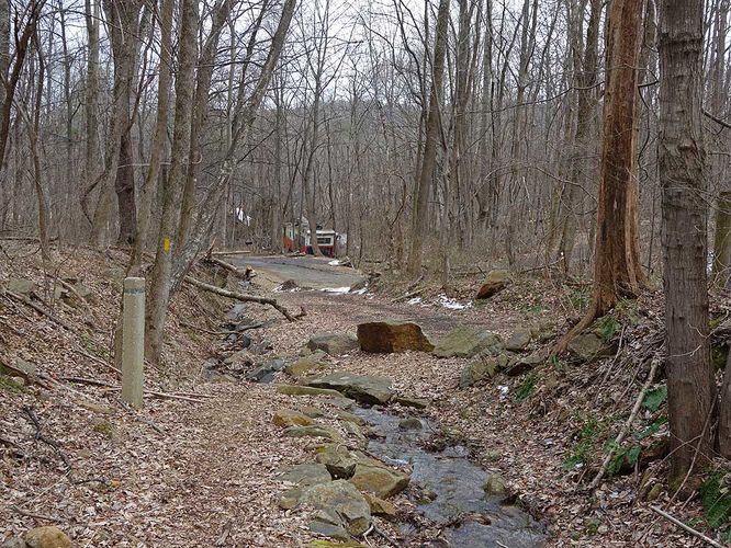 Picture 24 of Broad Hollow Hike 022016