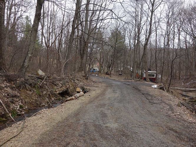 Picture 25 of Broad Hollow Hike 022016