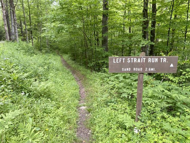 Left Staight Run Trail trailhead