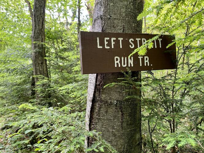 Left Straight Run Trail